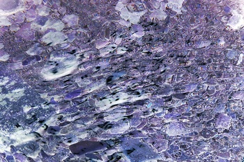 AP 132A1